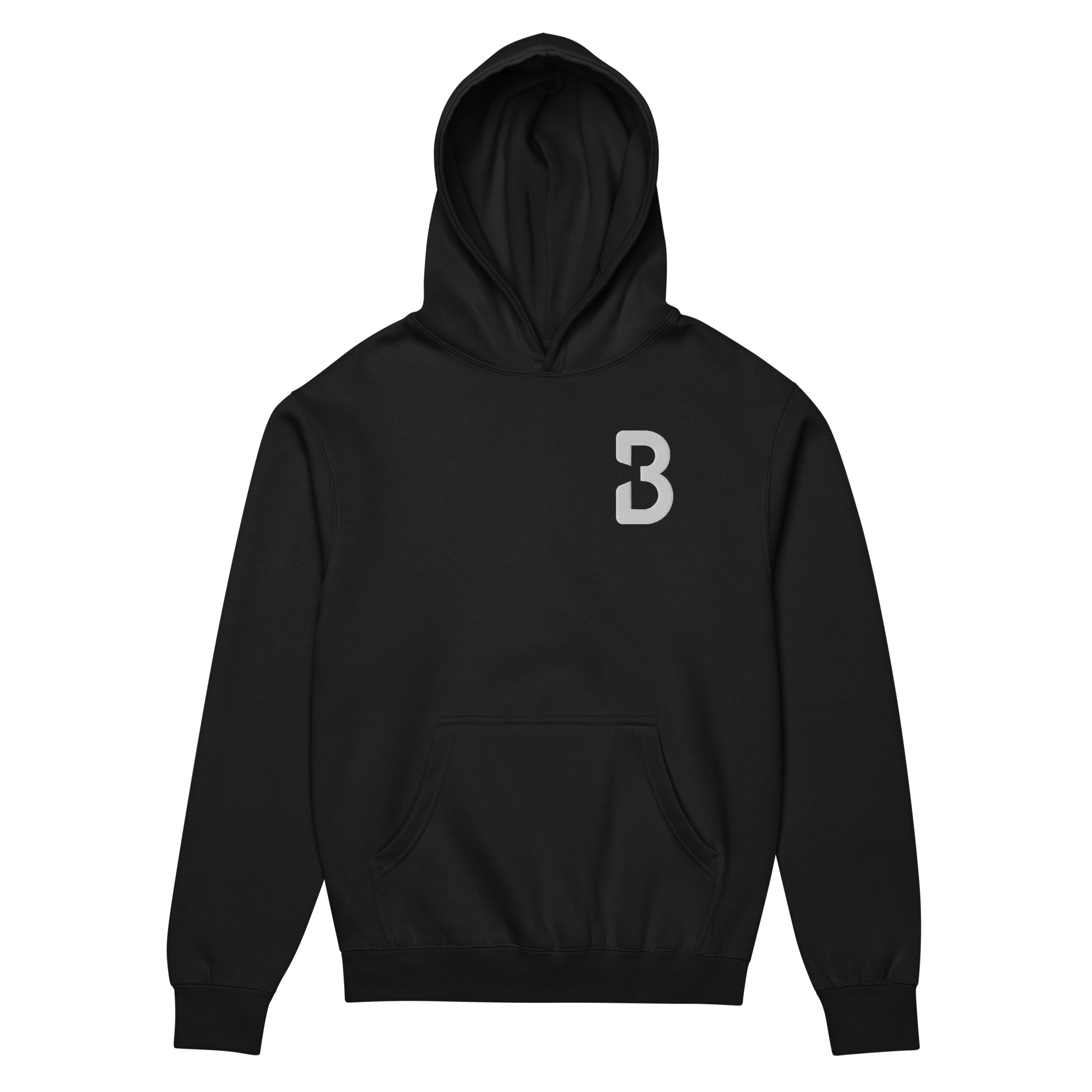 Sweat-à-capuche / Hoodies