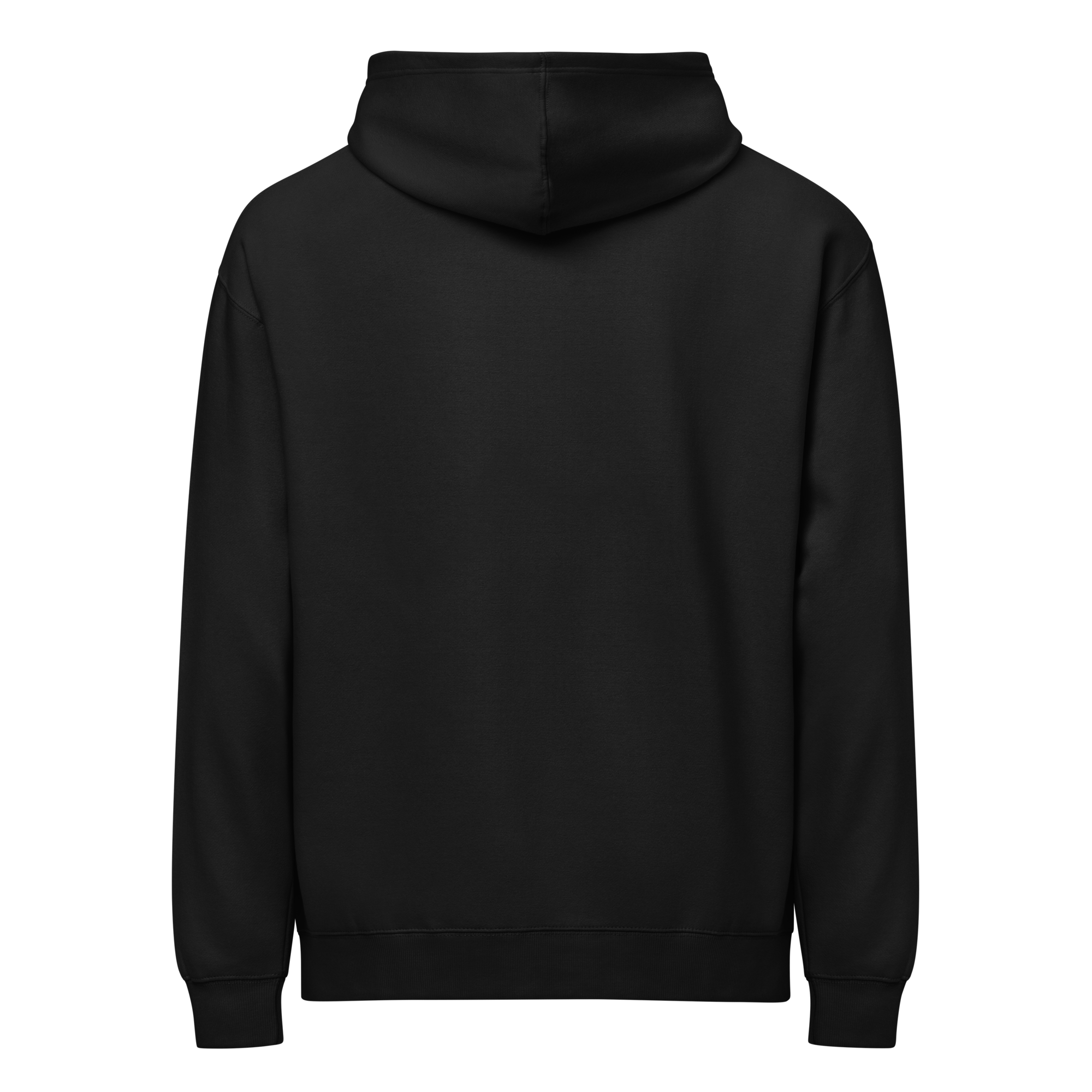 Hoodie / Sweat-à-capuche B3 face