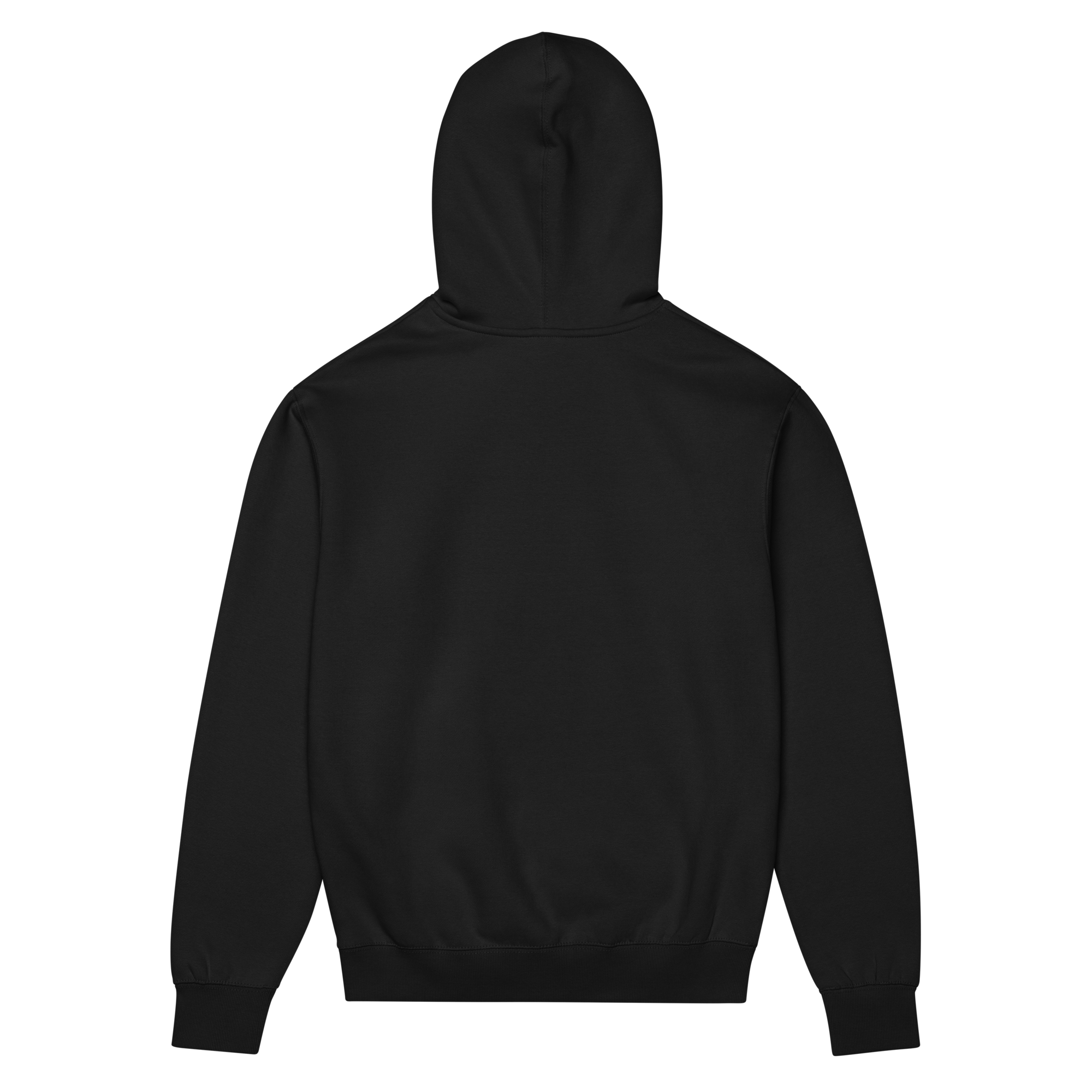 Hoodie / Sweat-à-capuche B3 face