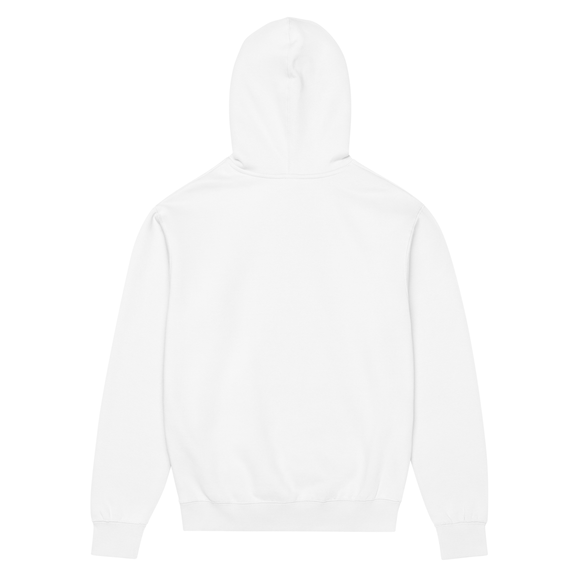 Hoodie / Sweat-à-capuche B3 face