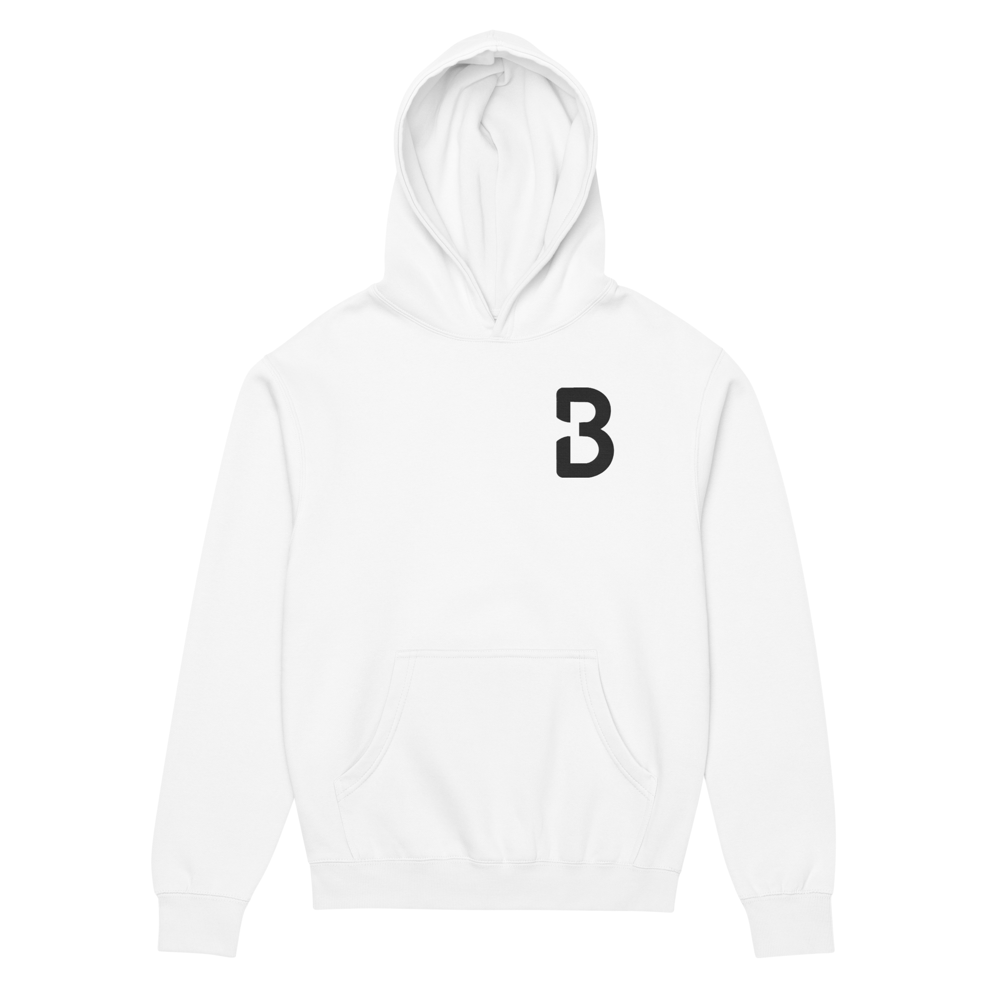 Hoodie / Sweat-à-capuche B3
